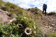 Pizzo Tre Signori con anello Via del Caminetto-Sentiero del Cardinale il 20 settembre 2016